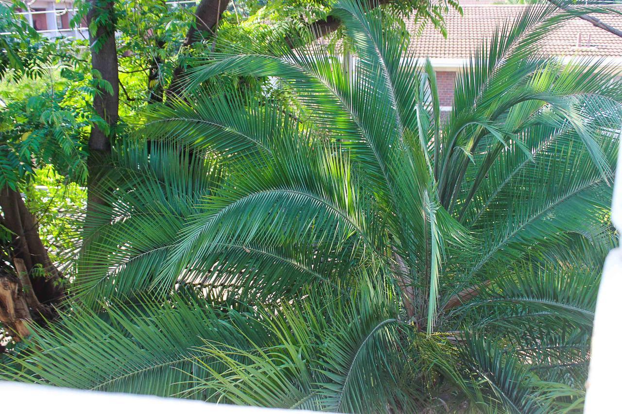 Lolo'S 1Bed Apt-Best Location-2Balconies Harare Esterno foto